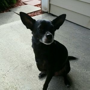 Meet your Posher, Tammy